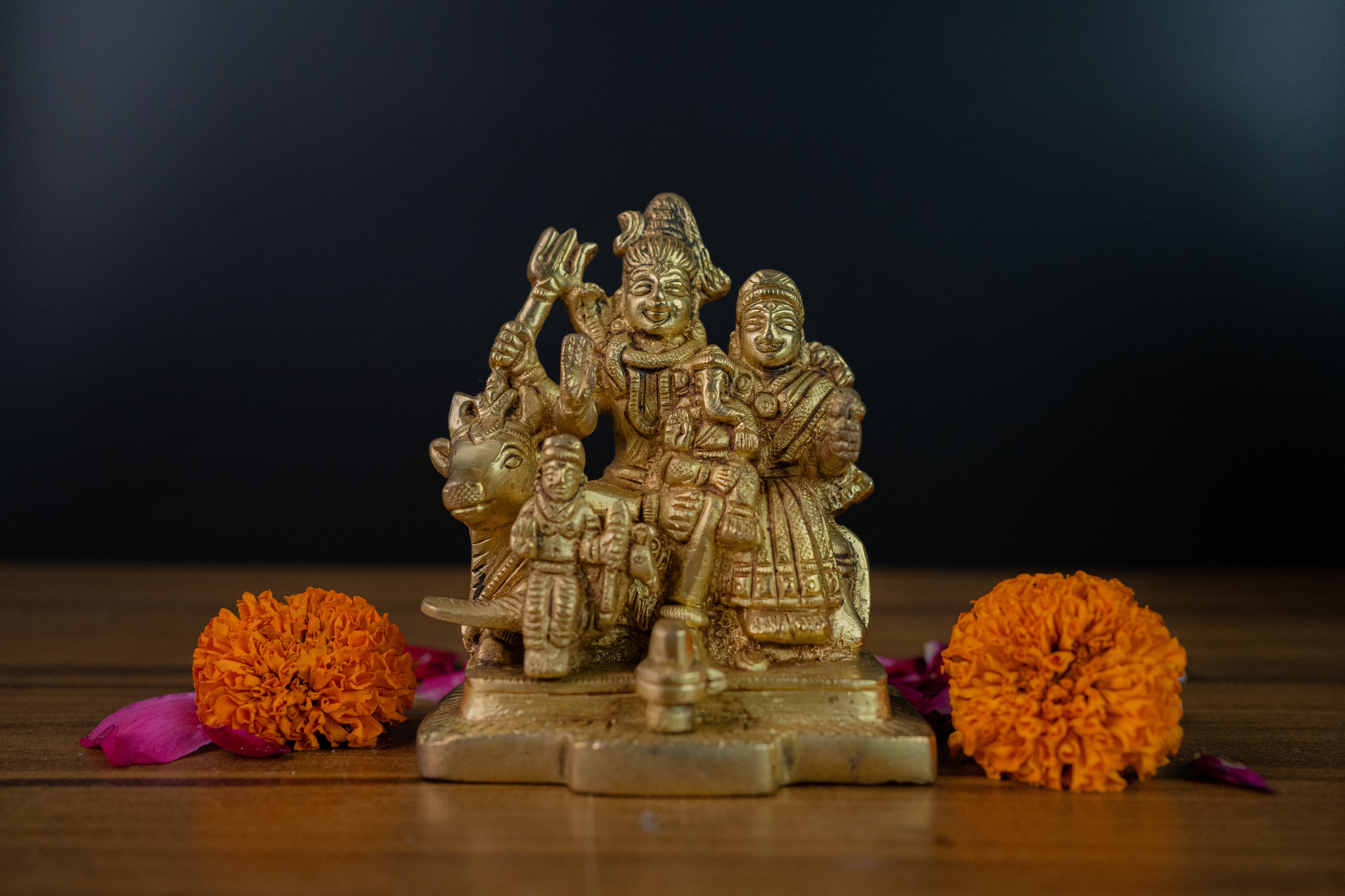 Pure Brass Shiv Parivar - 4" Height