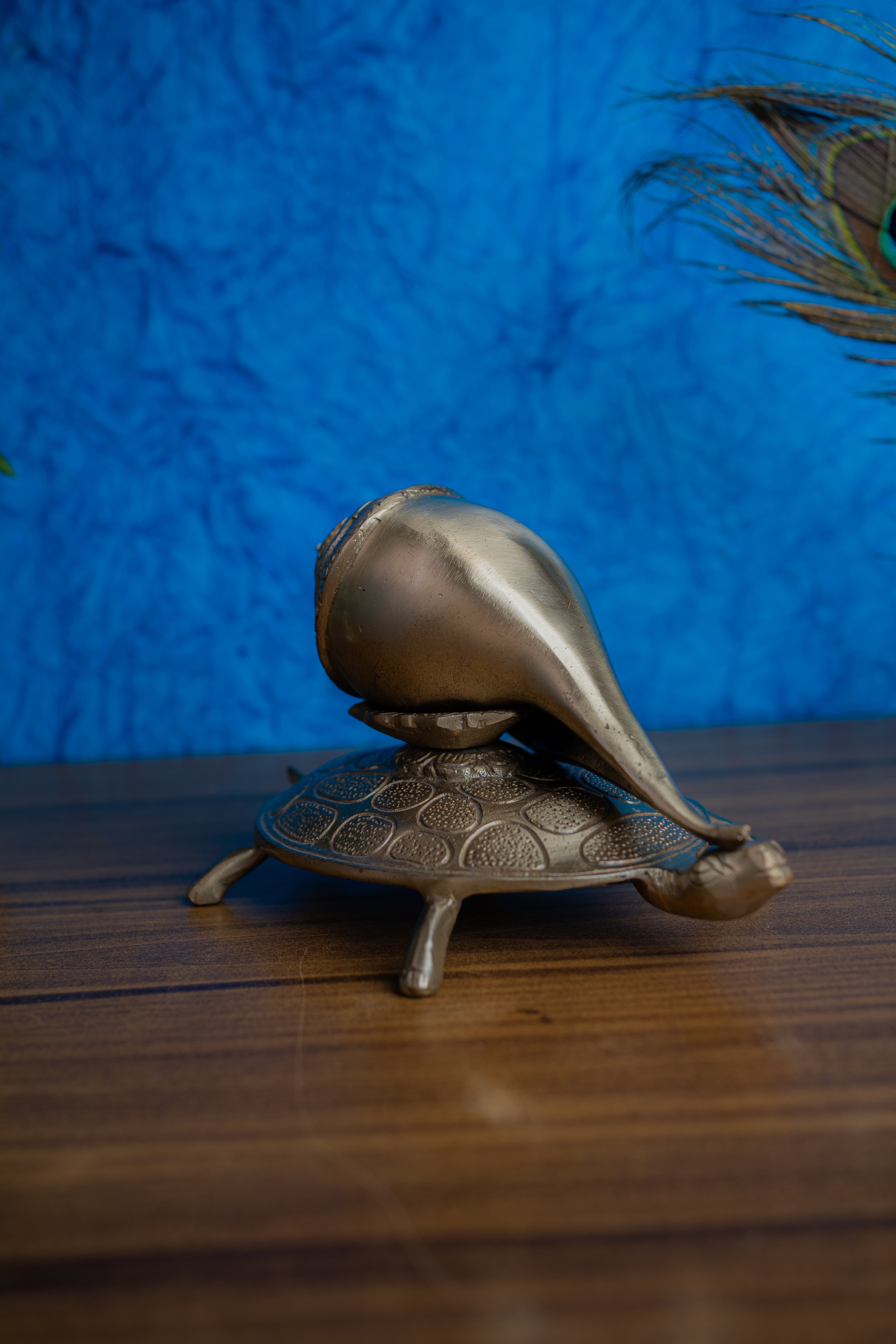 Brass Antique Shankh on Turtle